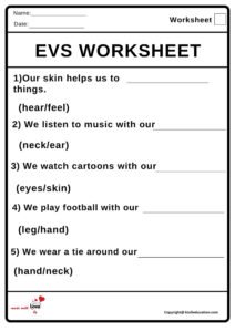 Evs Worksheets