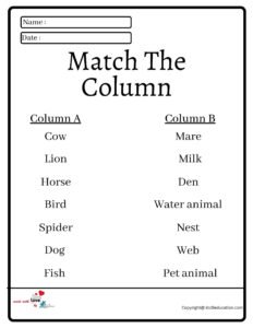 Match The Column Worksheet 2