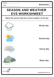 Season And Weather Evs Worksheet