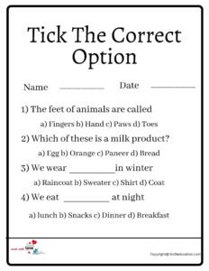 Tick The Correct Option Worksheet 2