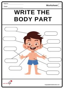 Write The Body Part Worksheet