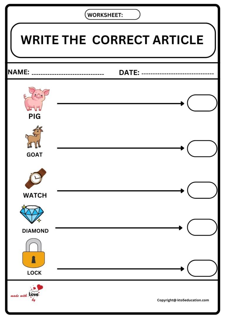 Write The Correct Article Worksheet 2 | FREE Download 