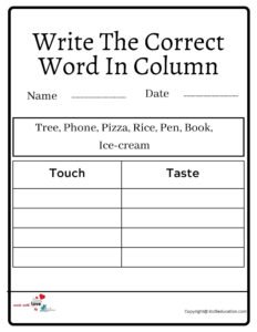 Write The Correct Word In Column Worksheet 2