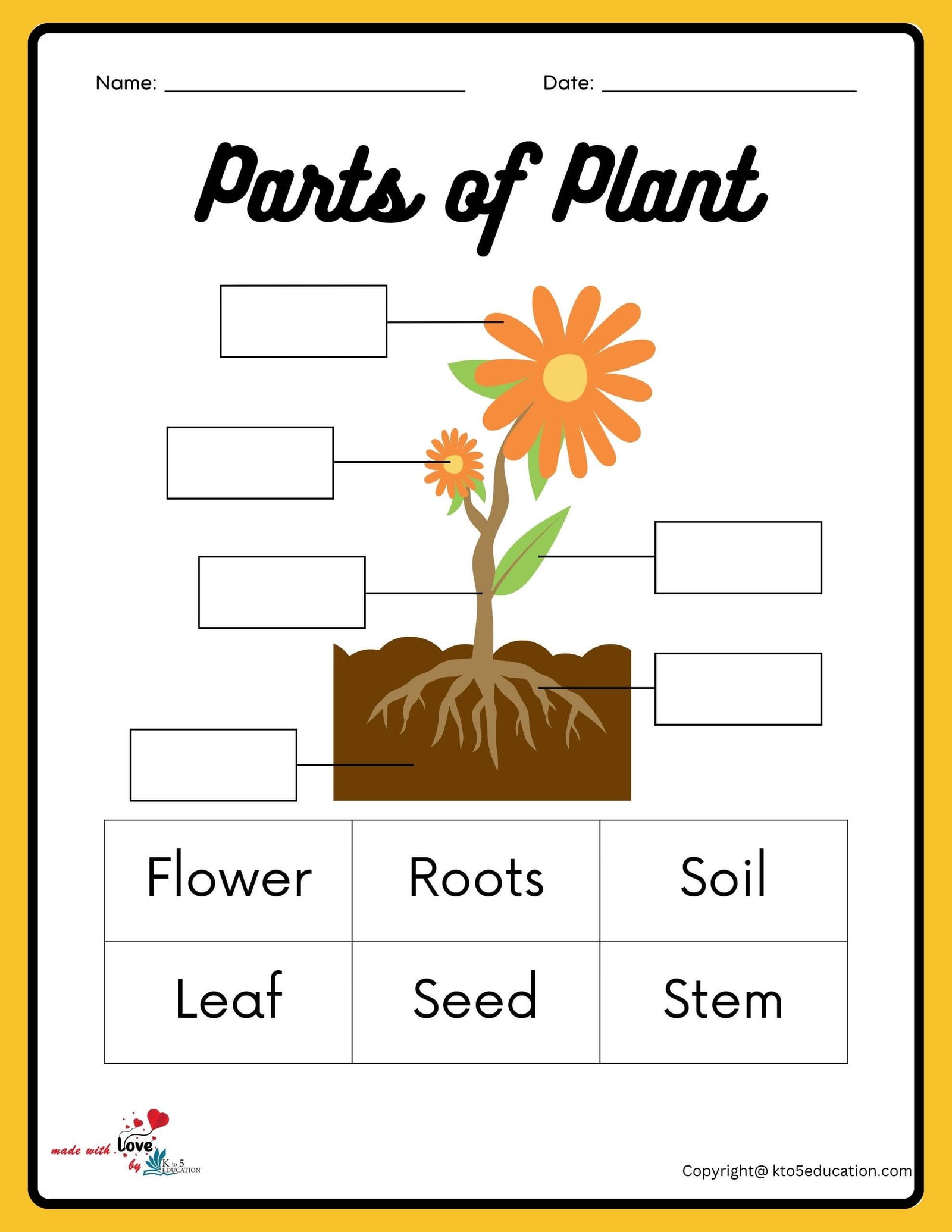 All Parts Of Flower Plants Worksheet