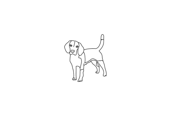 Beagle Dog Coloring Page