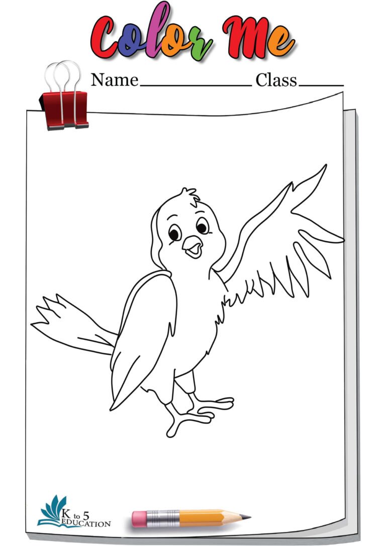 Bird Coloring Page | FREE Download