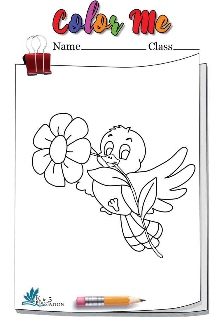 Birds Coloring Pages | FREE Download