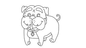 Bull Dog Coloring Page