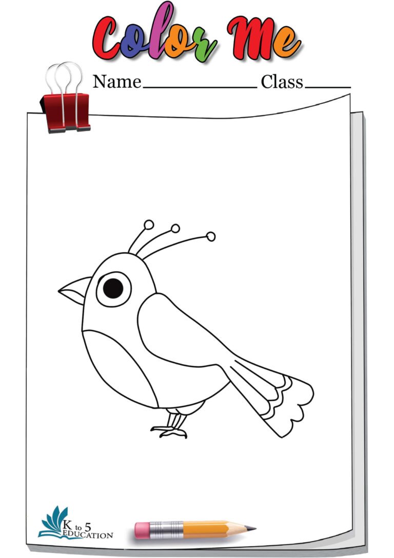 Canary Coloring Pages | FREE Download