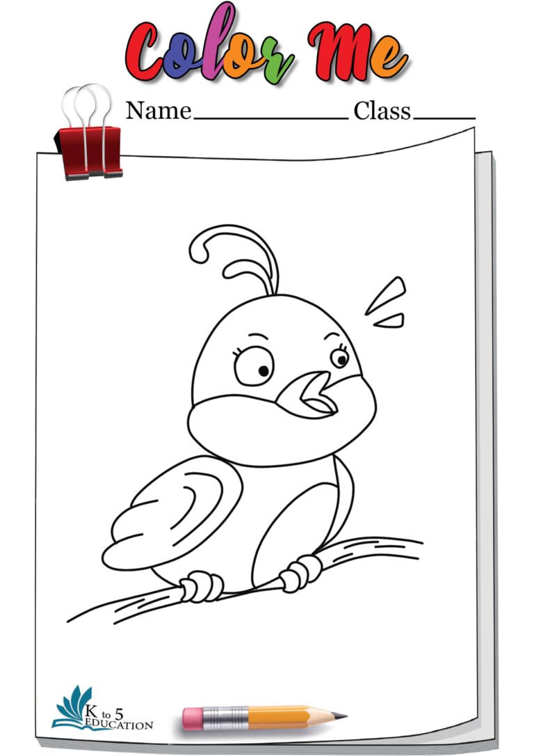 Cartoon Bird Coloring Book | FREE Download