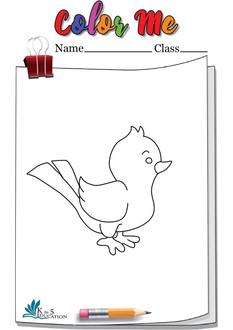 Chick Coloring Page | FREE Download