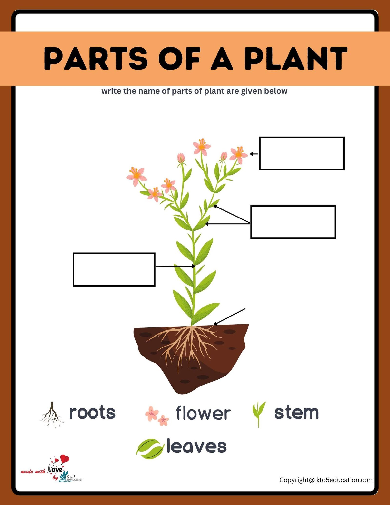 Free Parts Of A Plant Worksheet