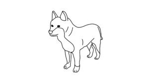 German Shepherd Dog Color 