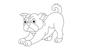 Little Bull Dog Coloring Page