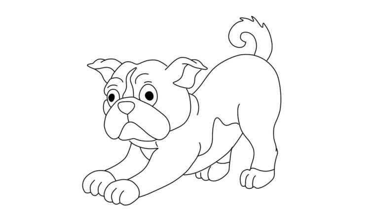 Little Bull Dog Coloring Page | FREE Download