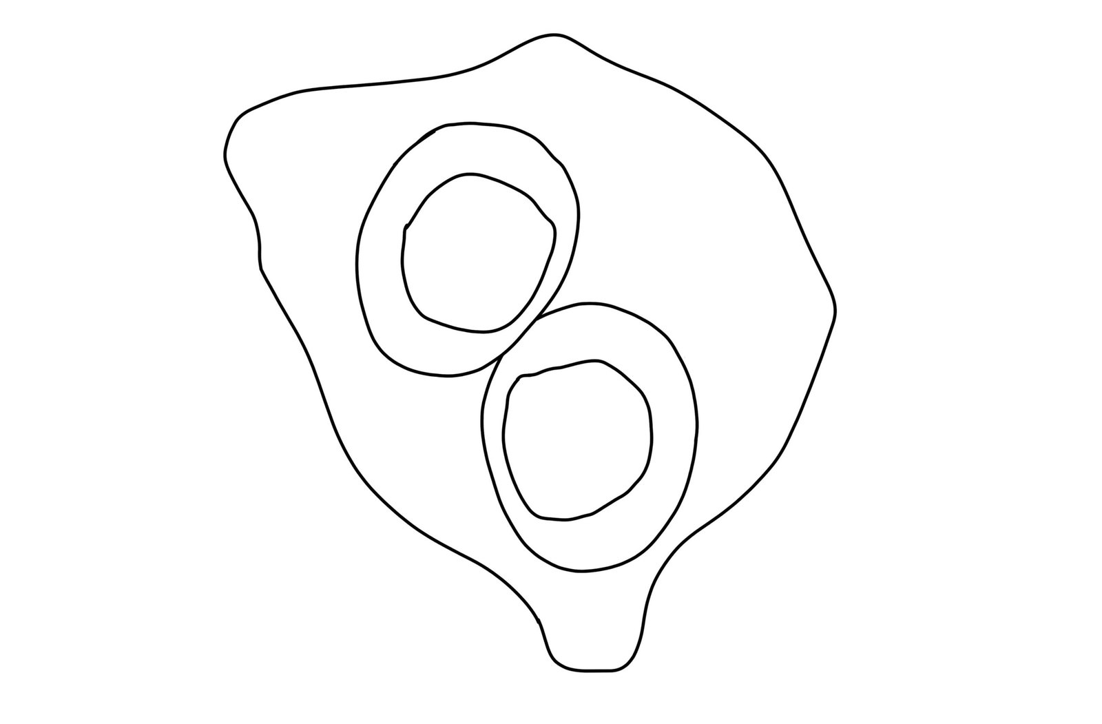 Medium Boiled Rggs Coloring Page