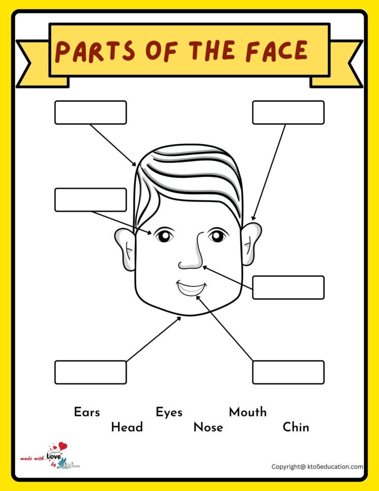 Parts Of A Check Worksheet | FREE Download