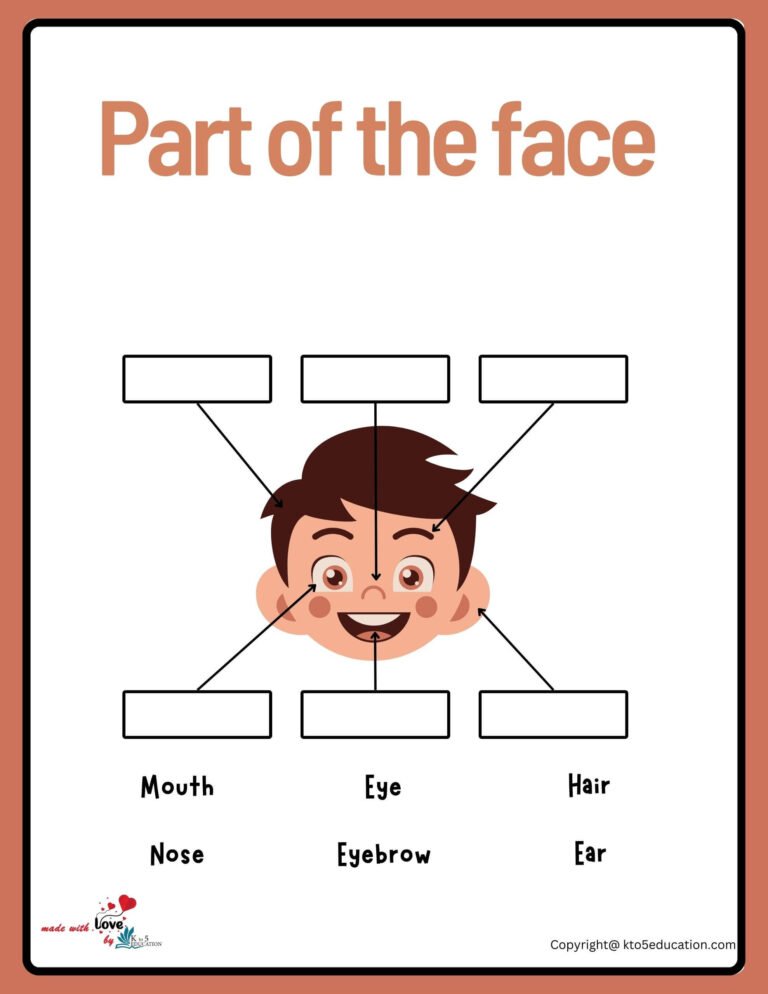 Parts Of A Child Face Worksheet | FREE Download