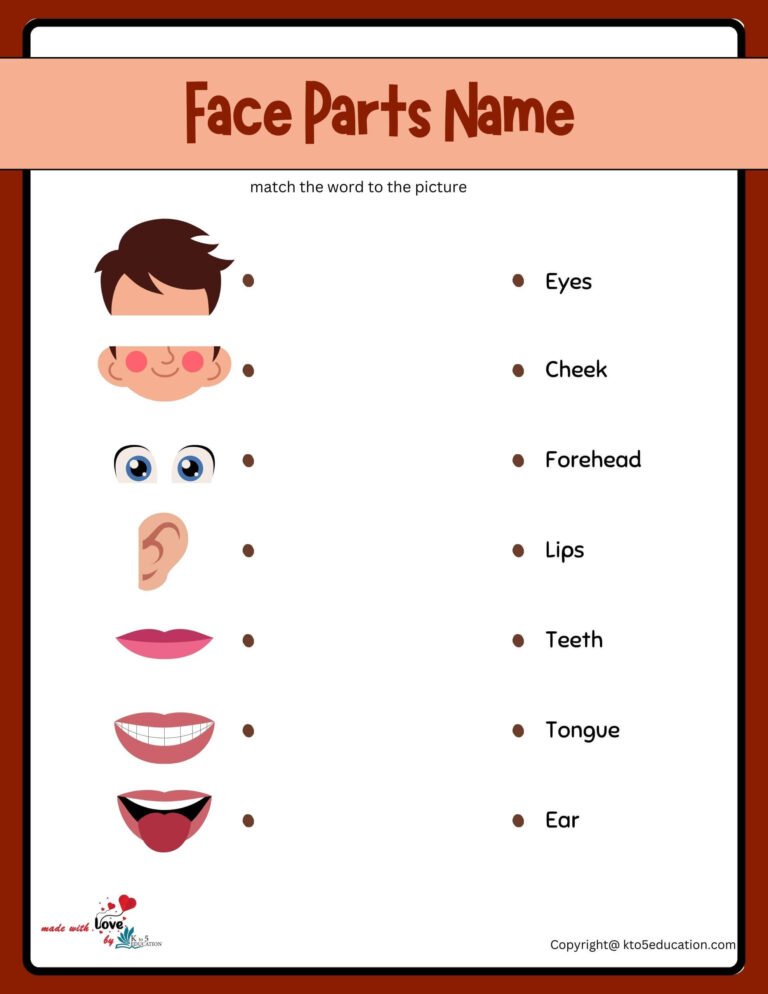 Parts Of A Every Face Parts Worksheet | FREE Download