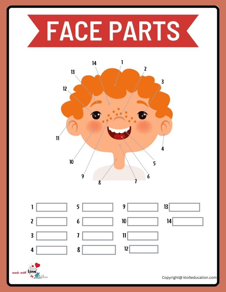 Parts Of A Face Worksheets | FREE Download