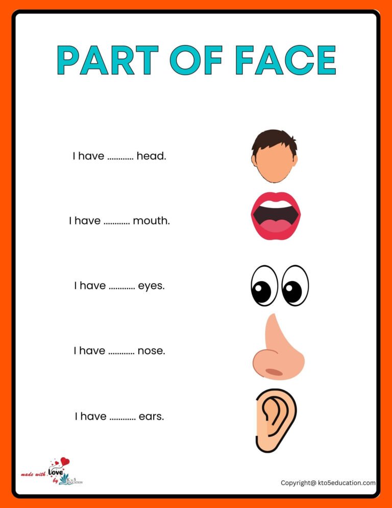 Parts Of All Parts Of Face Worksheet | FREE Download