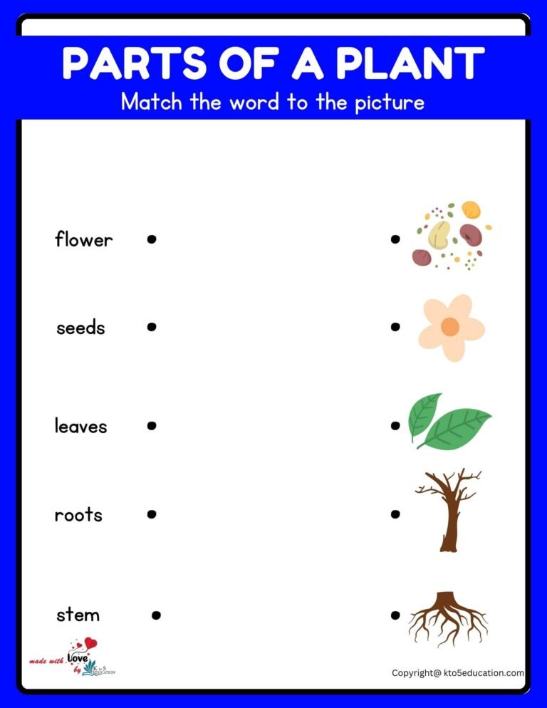 Parts Of Plants Worksheet Printable | FREE Download