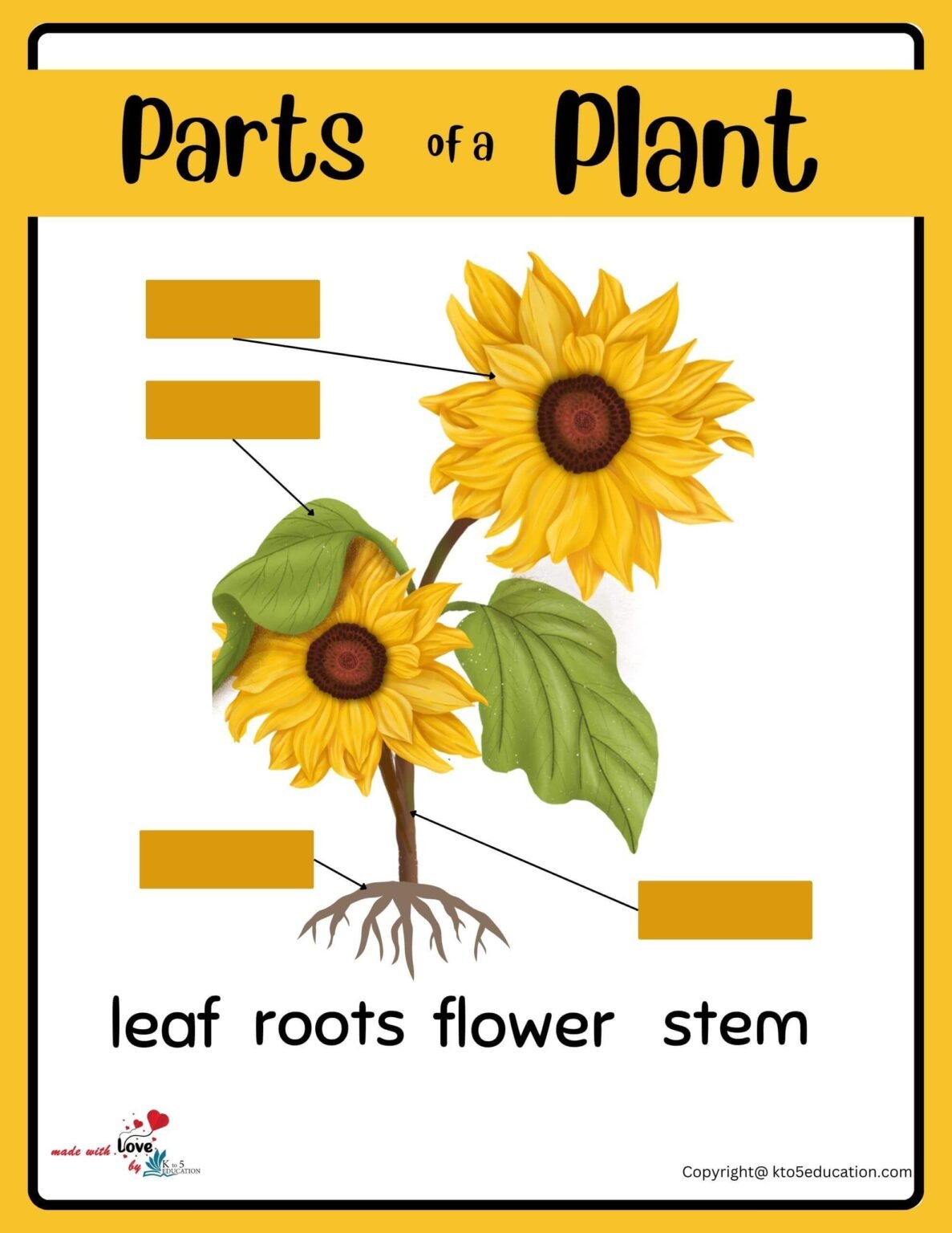 Parts Of Plants Worksheets Free Download