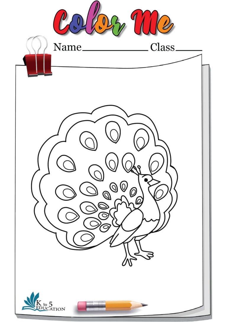 Peacock Coloring Page | FREE Download