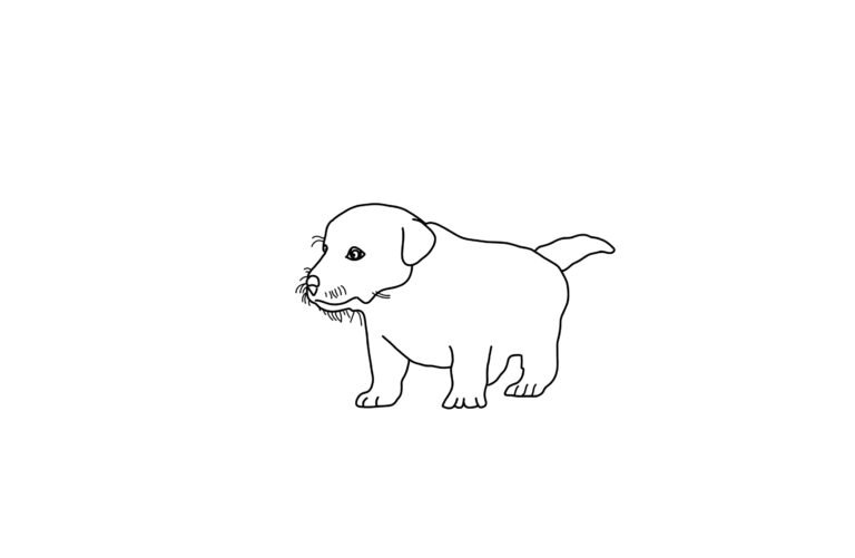 Puppy Coloring Page | FREE Download