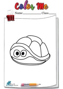 Turtle Coloring Book Page