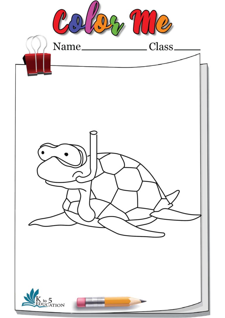 Turtle Coloring Pages Colored | FREE Download