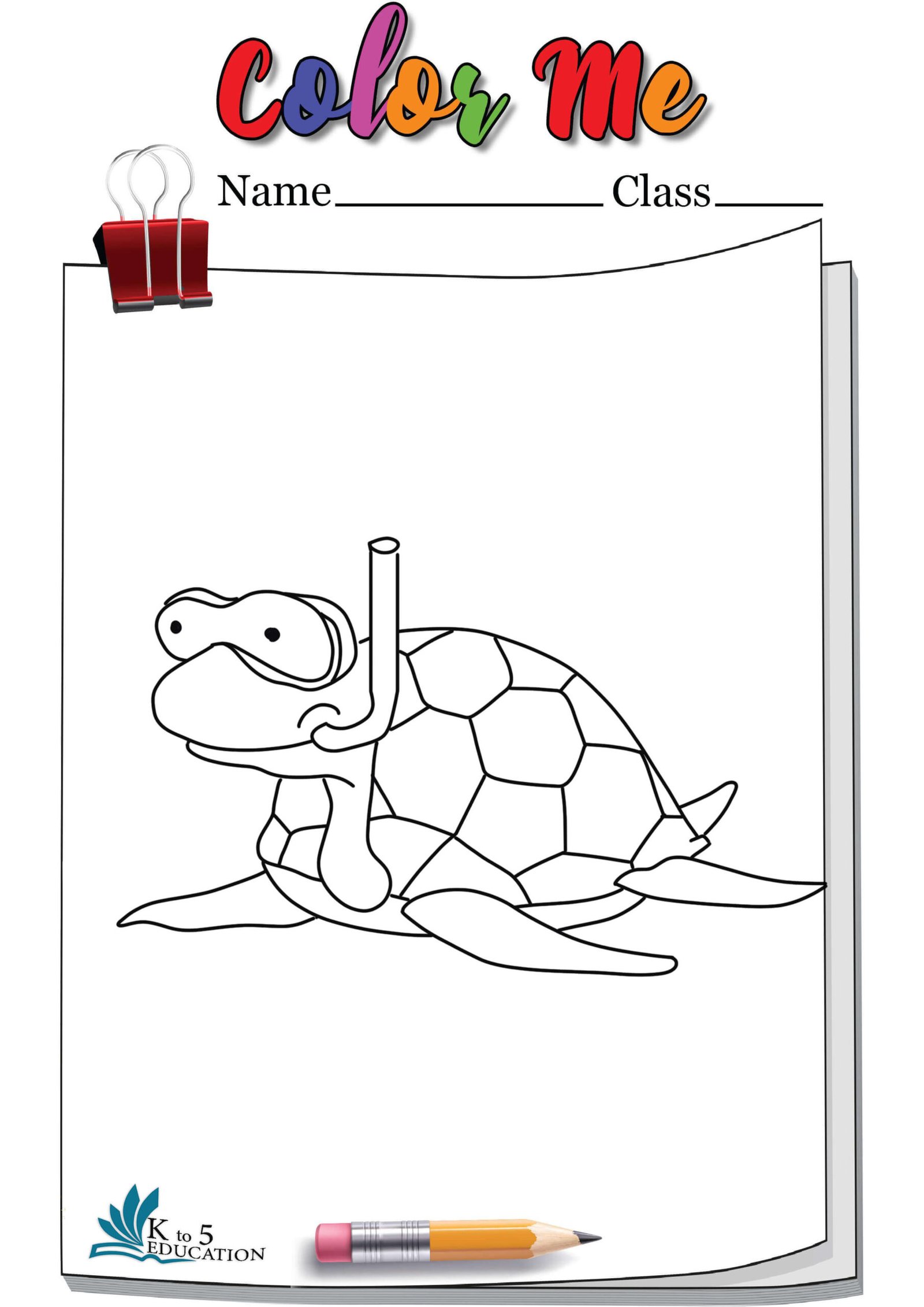 Turtle Coloring Pages Colored