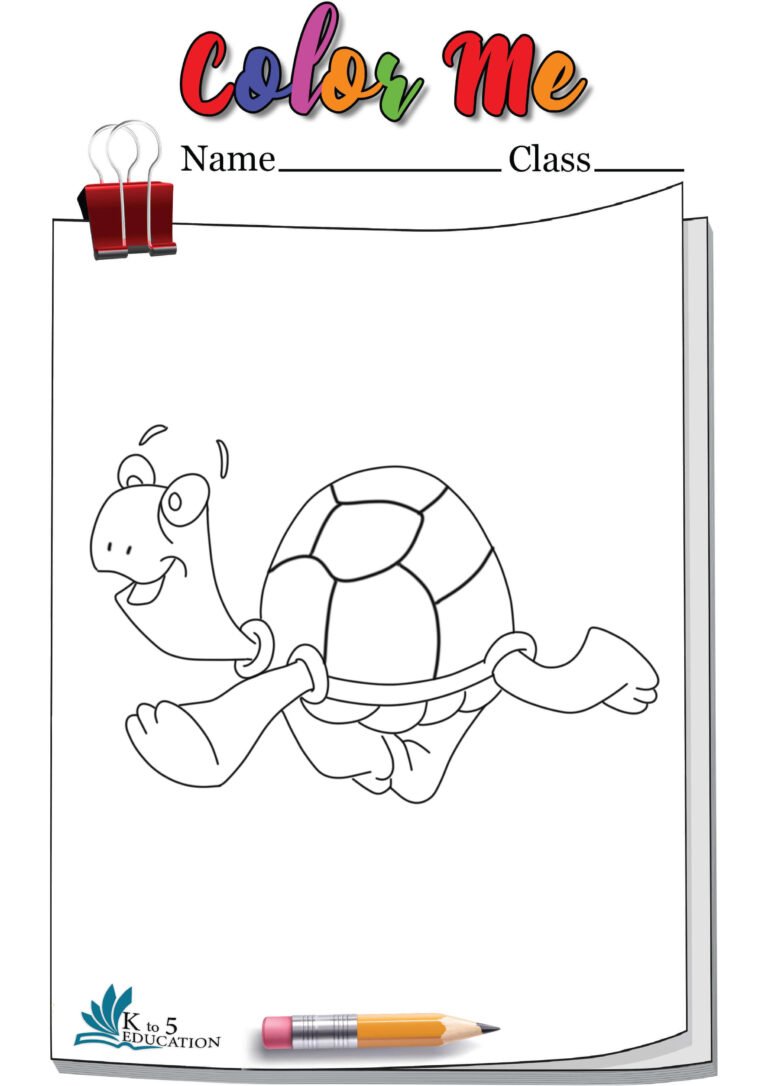 Turtle Coloring Pages Printable | FREE Download