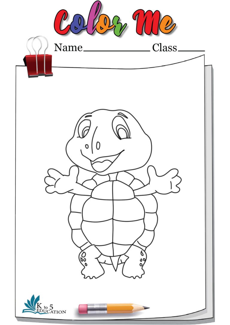 Turtle Coloring Sheet | FREE Download