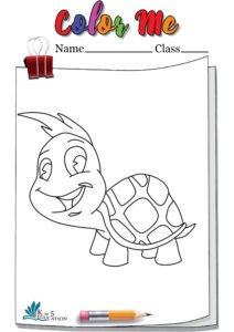 Turtle Pics To Color