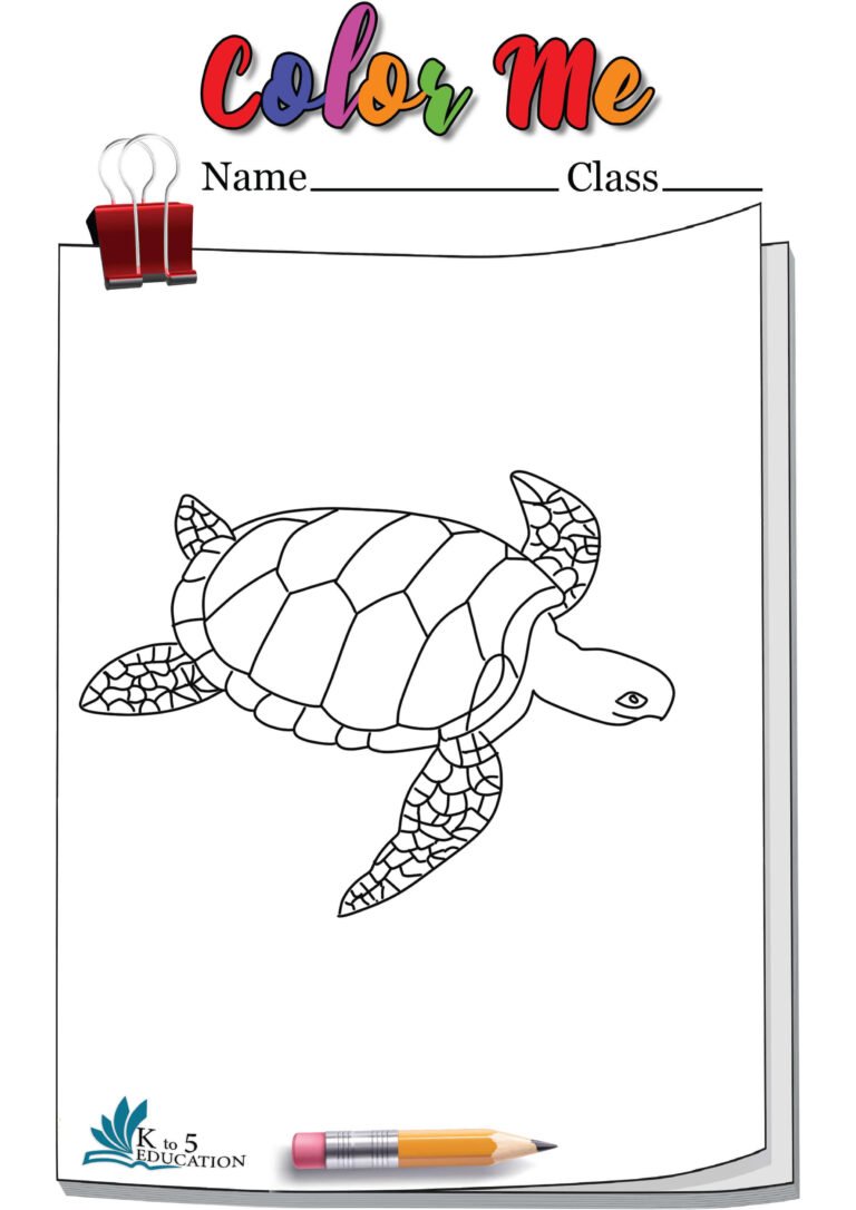 Turtle To Color In | FREE Download