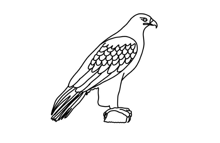 Golden Eagle Coloring Page | FREE Download