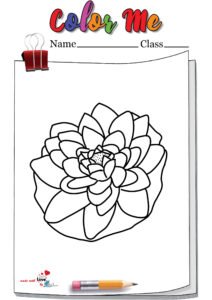 Floating Lily Pad With Lotus Coloring Page
