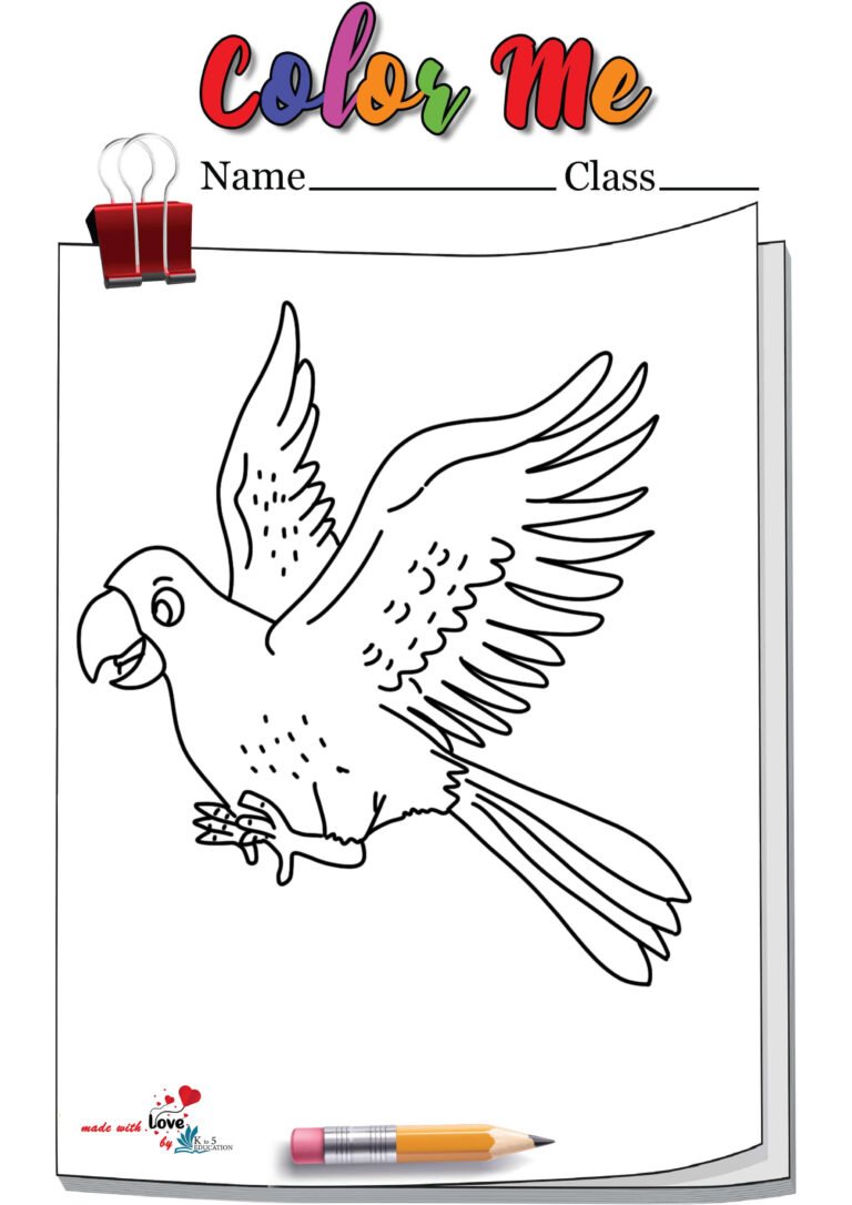 Flying Parrot Coloring Page | FREE Download