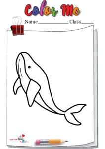 Jumping Whale Coloring Page