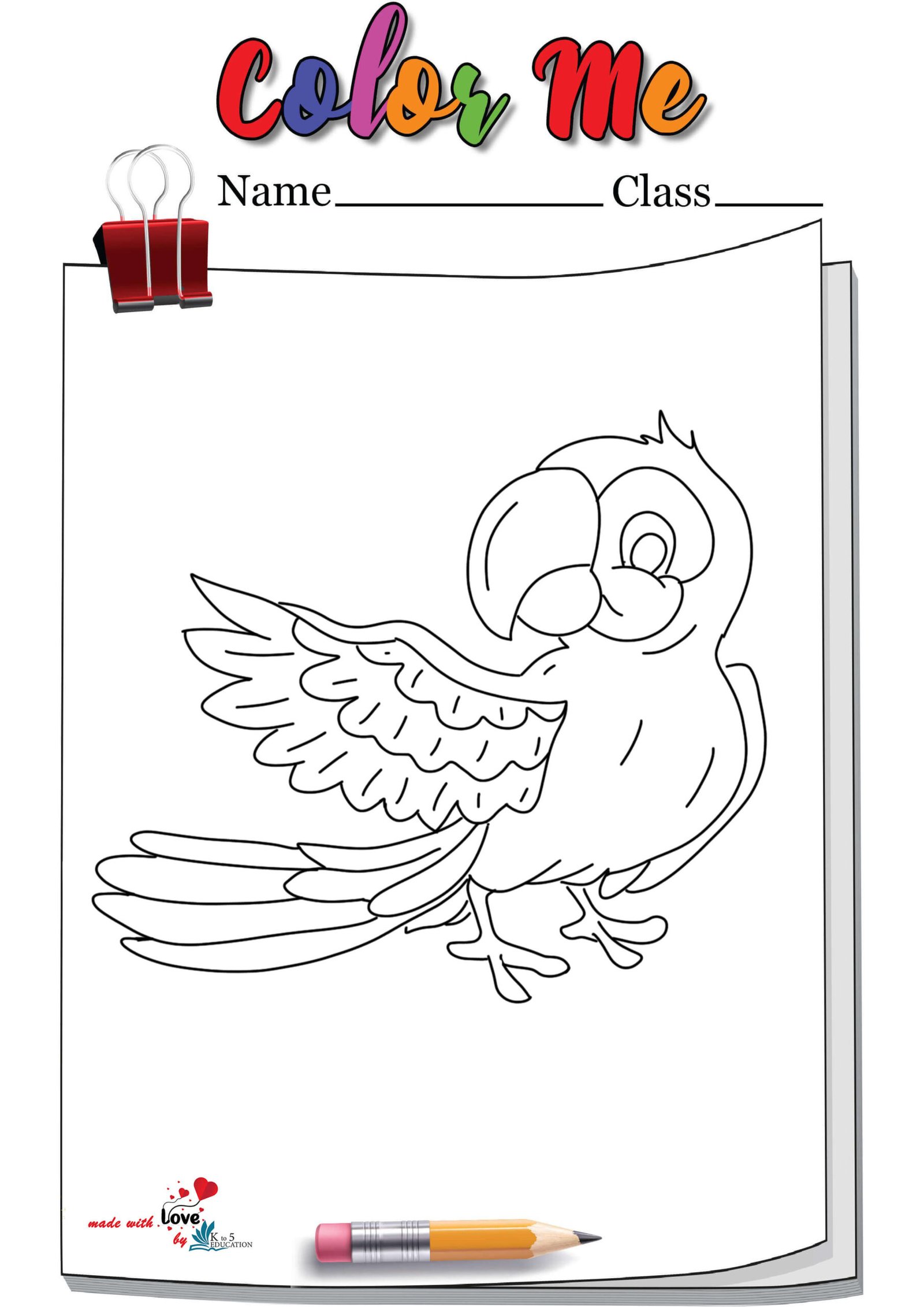 Parrot Coloring Book