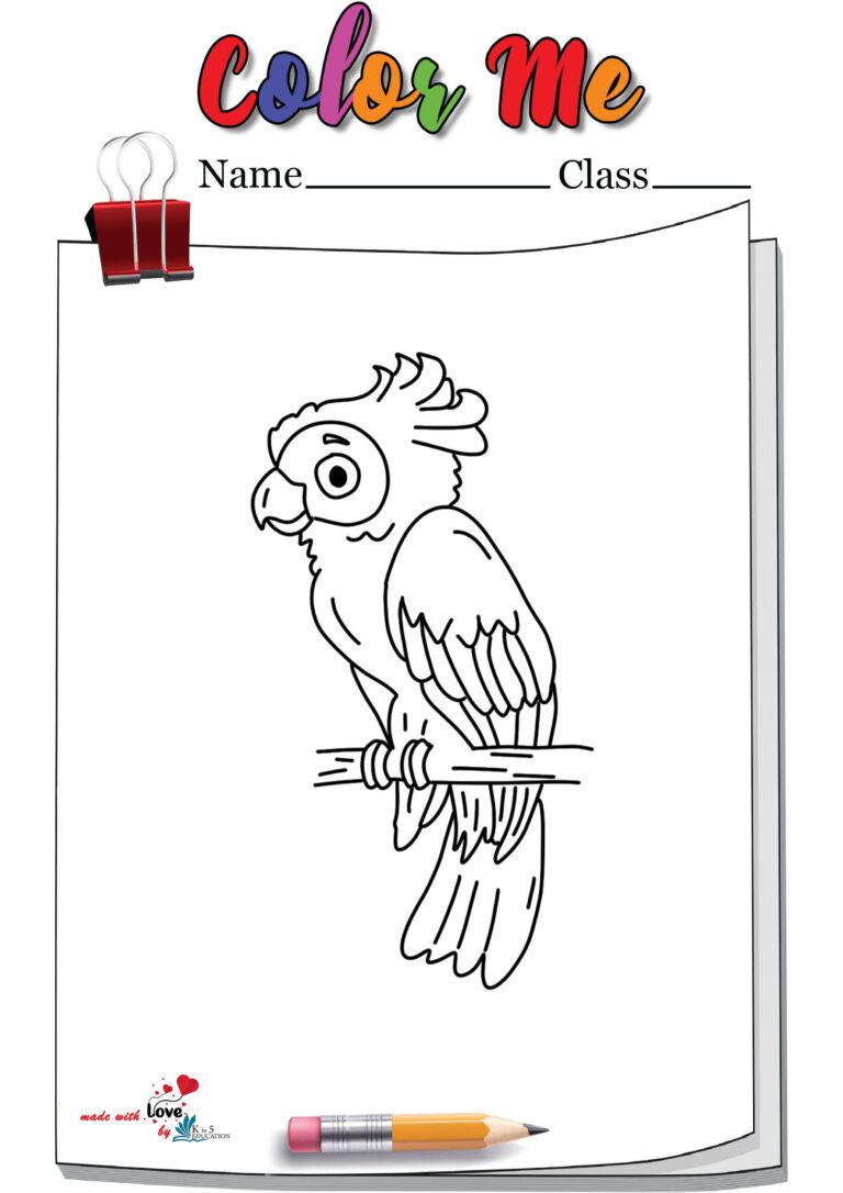 Parrot Coloring Page Printable | FREE Download