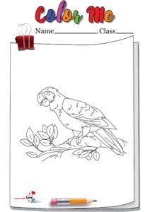 Sitting Parrot Coloring Page