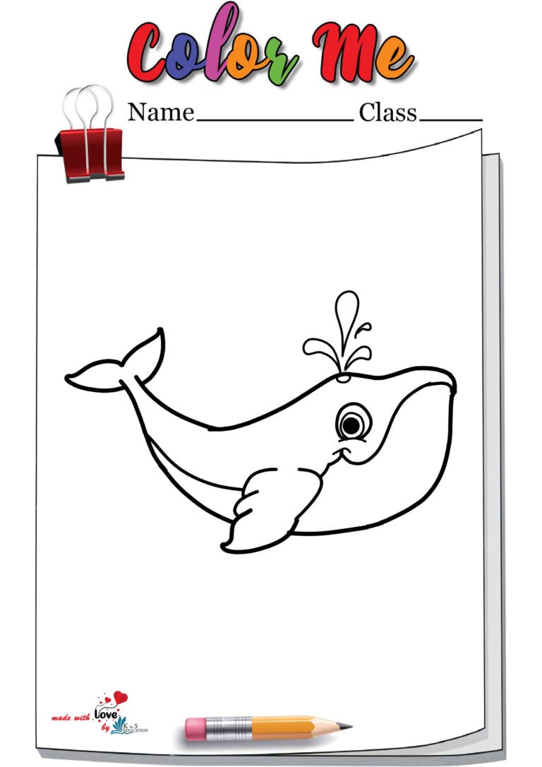 Whale Coloring Pages | FREE Download